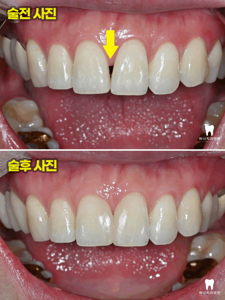 신정동치과